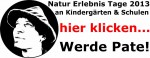 wurzeltrapp