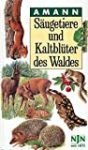 Säugetiere und Kaltblüter des Waldes