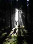 Heimkurs Natur Mentoring