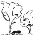 Vogelsprache Schirm