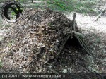 Survival und Bushcraft :: Laubhütte Schritt 2