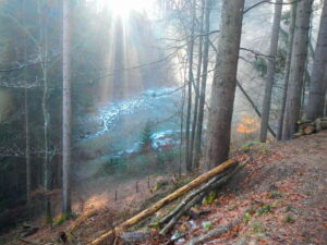 Digital Detox Wochenende Wurzeltrapp Wildnisschule