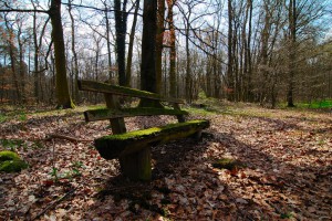 Digital Detox Wurzeltrapp Wildnisschule Natur Kurse zum digitalen Entgiften