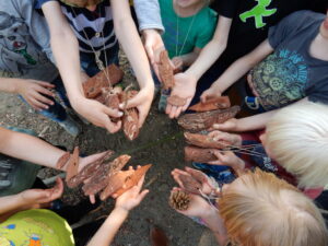 Schnitzen und mehr Wurzeltrapp Wildnisschule