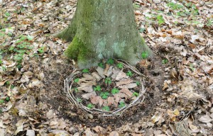 Naturkunst und Landart Wurzeltrapp Wildnisschule