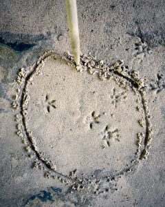 Wildlife Tracker Ausbildung Fährtenlesen lernen Spurenlesen lernen