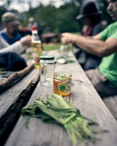 Wildpflanzen Honigauszug Wildnispädagogik Fortbildung Wurzeltrapp Wildnisschule