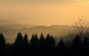 Vogelsberg Wildnispädagogik Ausbildung Wurzeltrapp Wildnisschule
