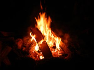 Wildnispädagogik Ausbildung Wurzeltrapp Wildnisschule