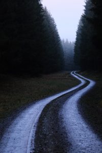 Lebst du deinen Traum Geh deinen Weg Wurzeltrapp Wildnisschule