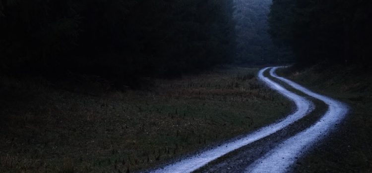 Lebst du deinen Traum Geh deinen Weg Wurzeltrapp Wildnisschule
