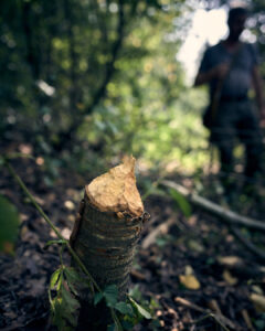 Impressionen Wildlife Tracker Ausbildung der Wildnispädagogik Ausbildung Wurzeltrapp Wildnisschule