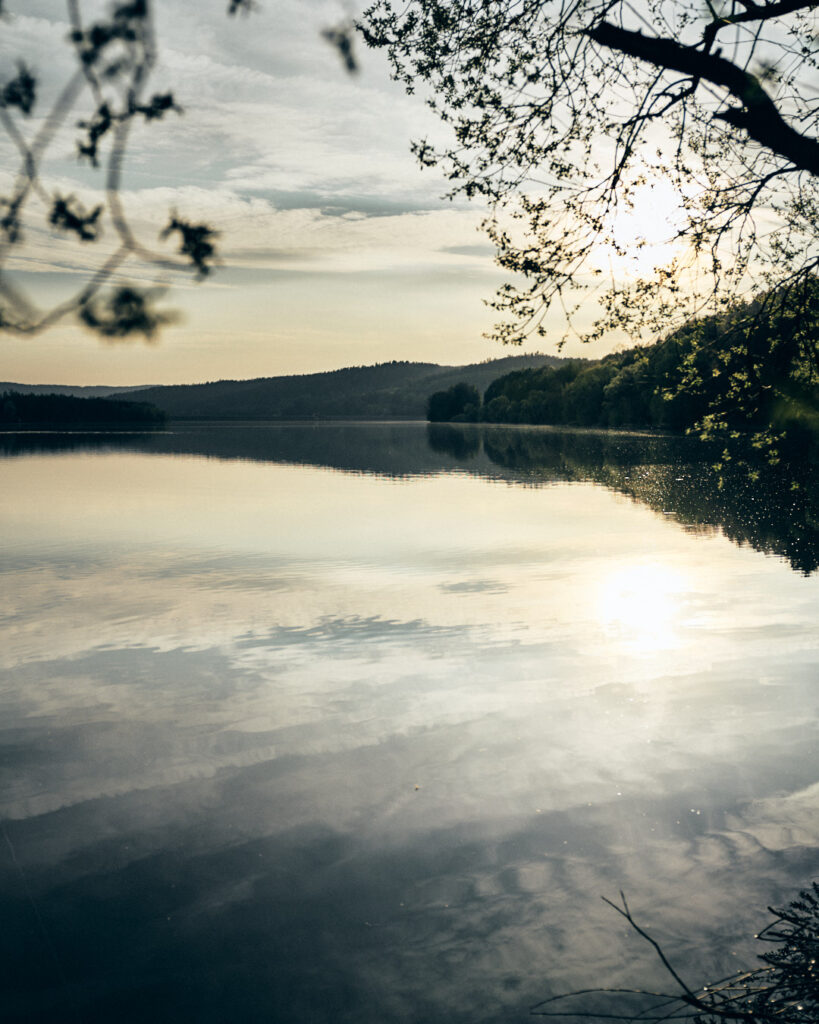 Sitspot oder auch Natur Sitzplatz - Wurzeltrapp Wildnisschule 