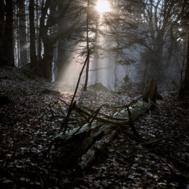 Der Natur Sitzplatz Der Natur Sitzplatz